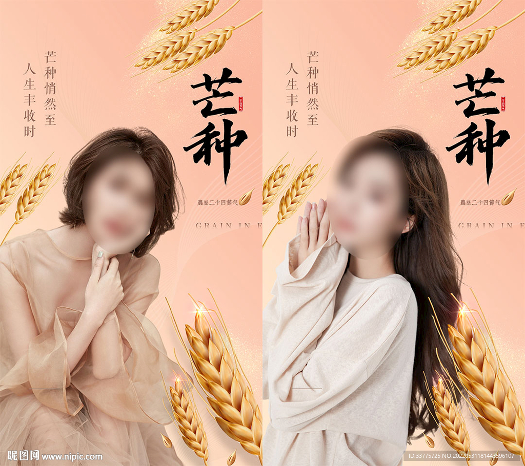芒种节气海报