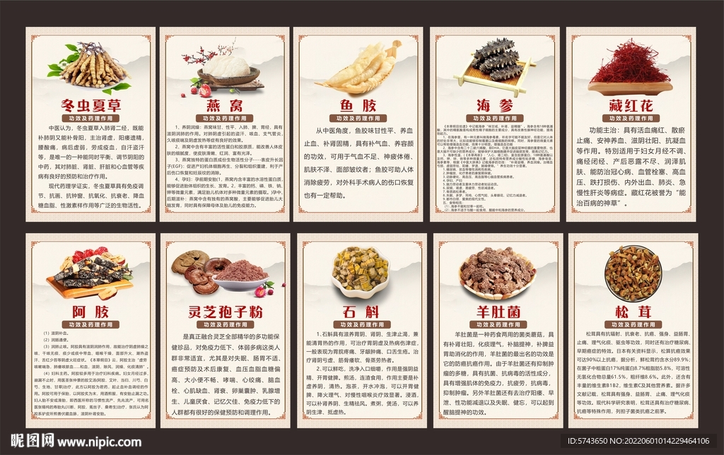 中药功效及药理作用