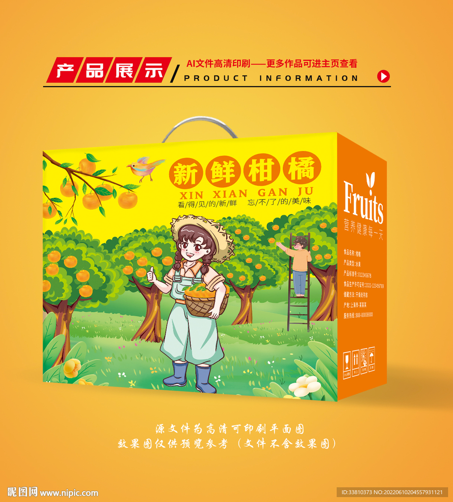 橘子包装 柑橘礼盒