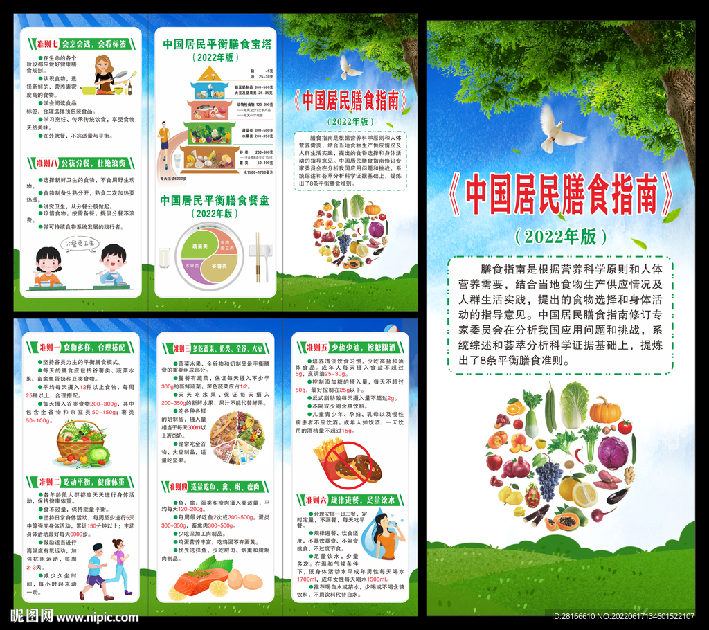 中国居民膳食指南 三折页