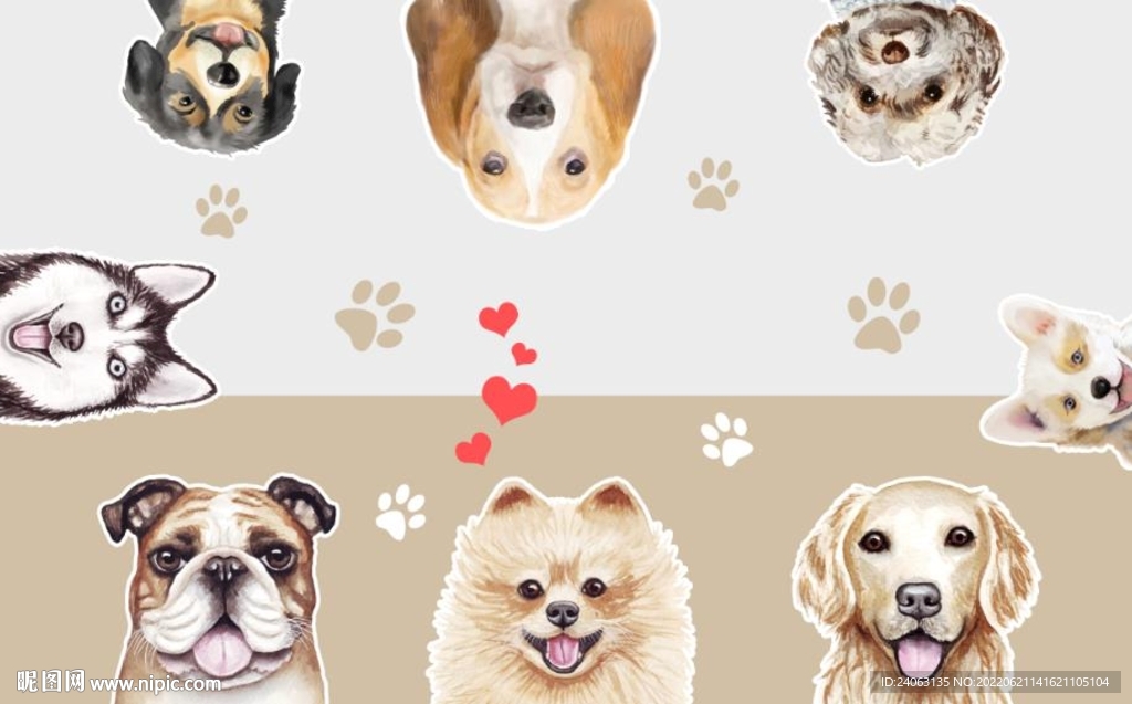 狗狗宠物店背景