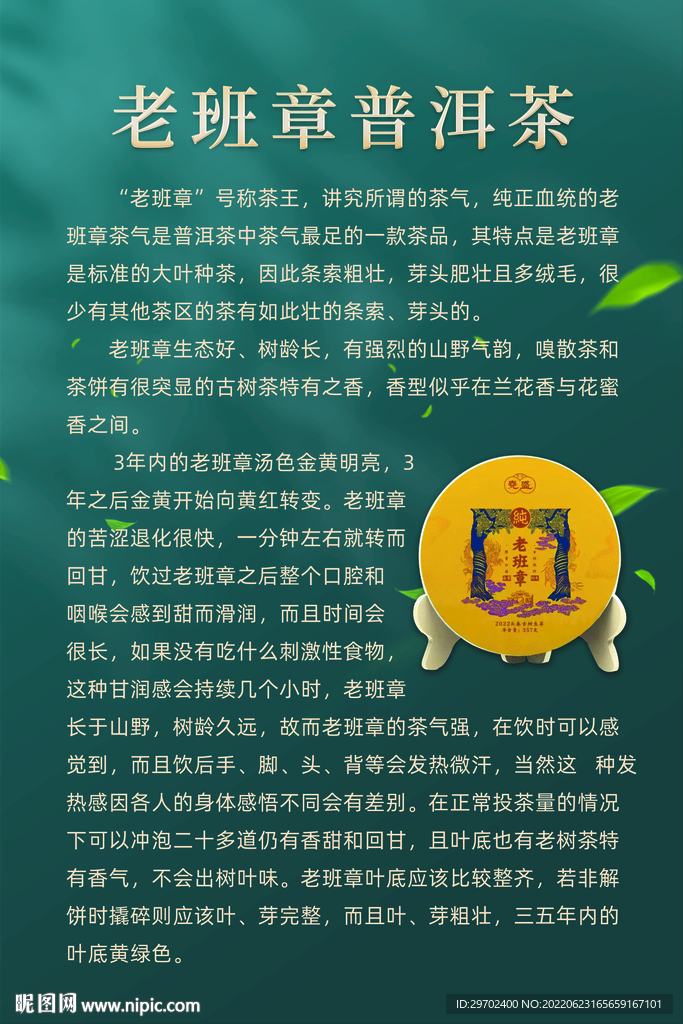 老班章 普洱茶 茶叶