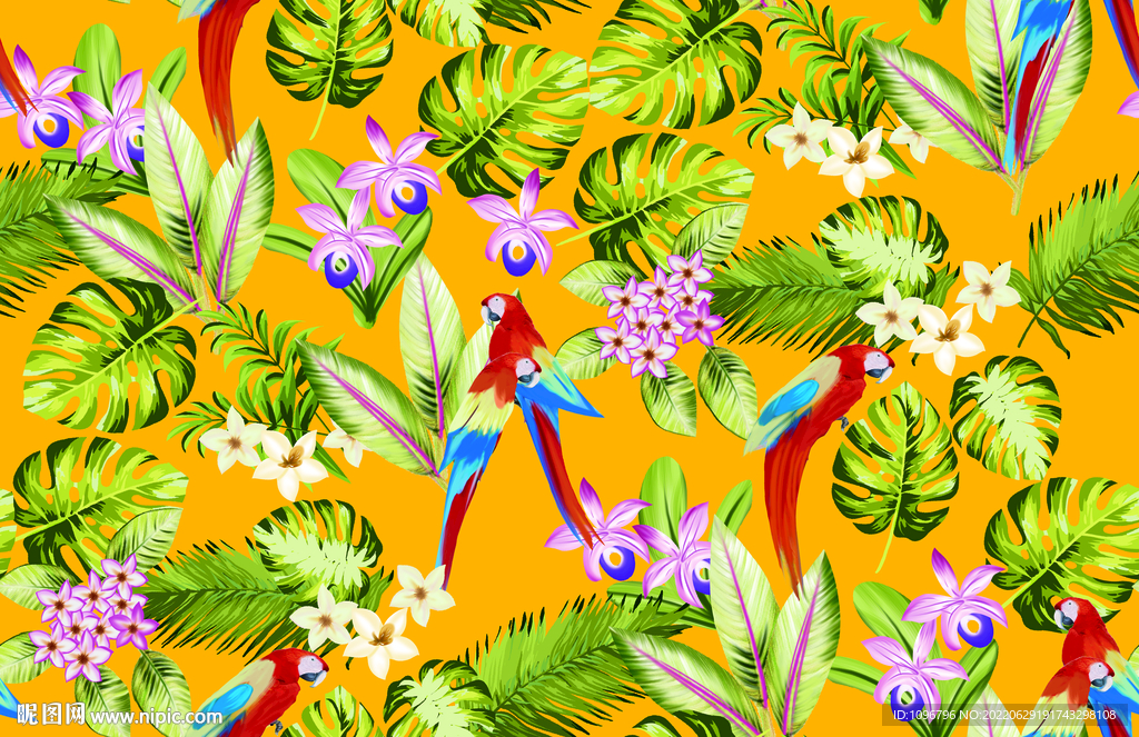 大牌 鸟热带花