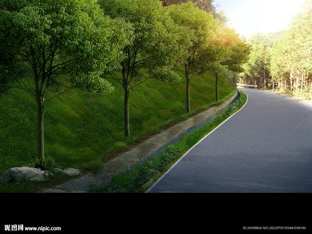 乡村振兴美丽乡村改造绿化效果图