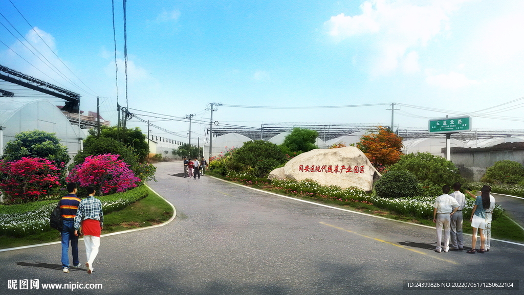 乡村振兴美丽乡村改造绿化效果图