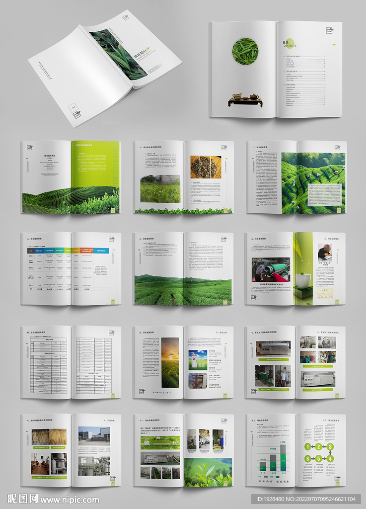 精美茶叶宣传册