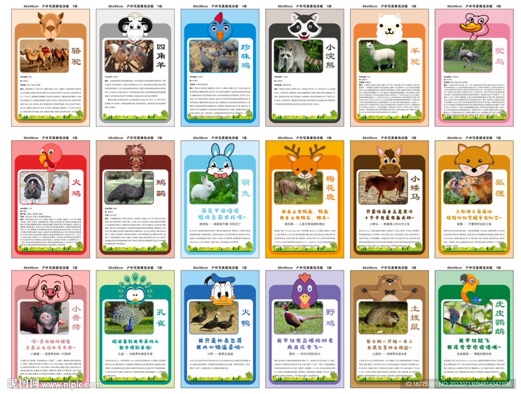 动物简介介绍展板