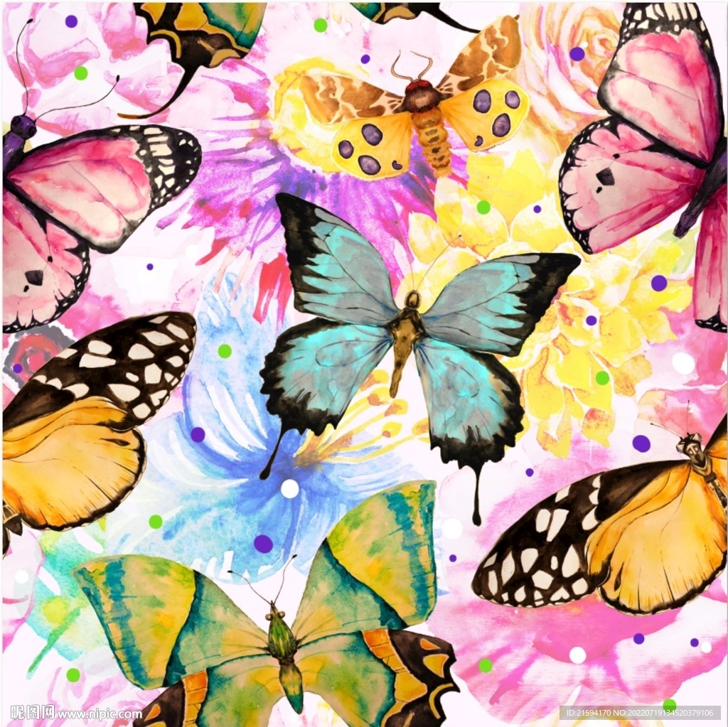 蝴蝶手绘 线稿图