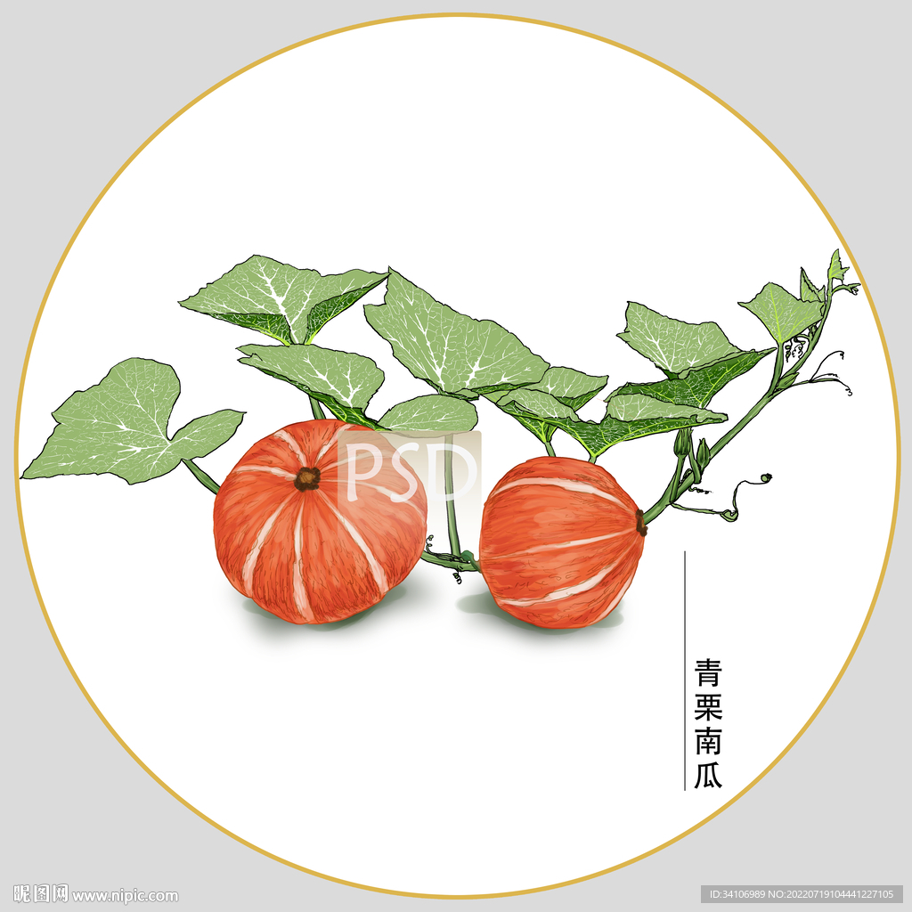 青栗南瓜包装插画
