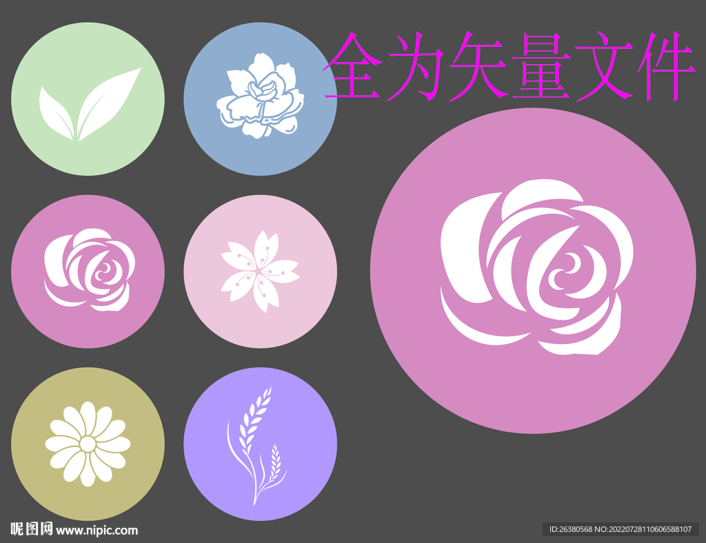 植物 花卉 圆形