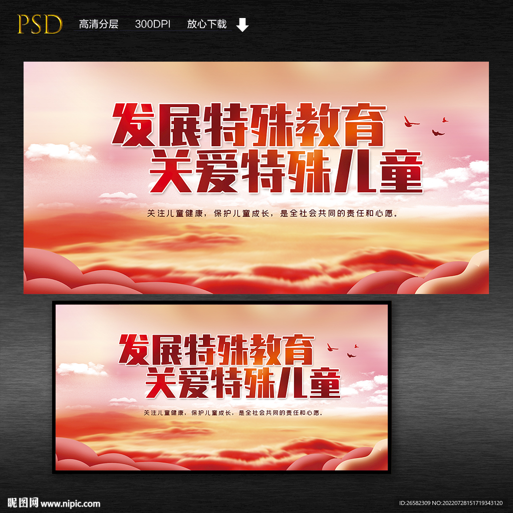 发展特殊教育宣传展板