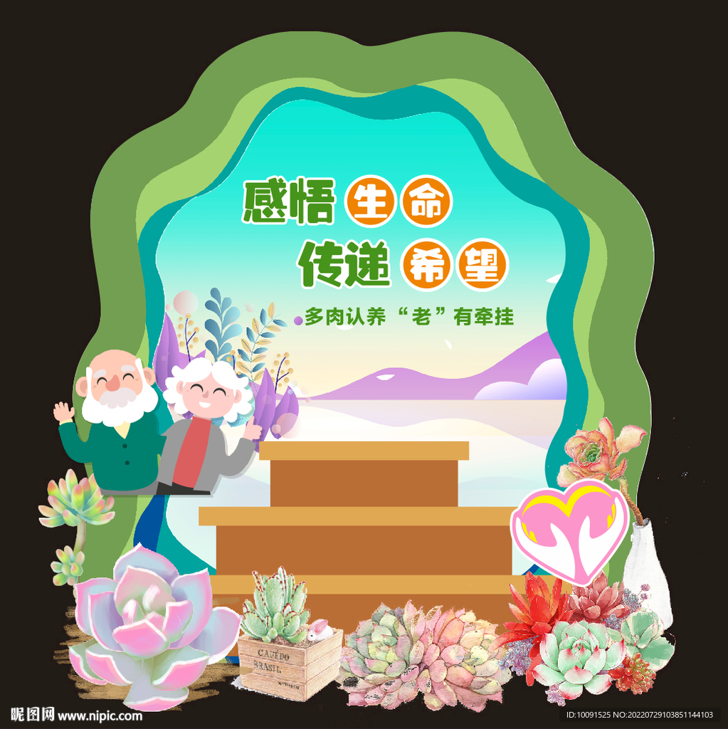 多肉植物 多肉美陈小景