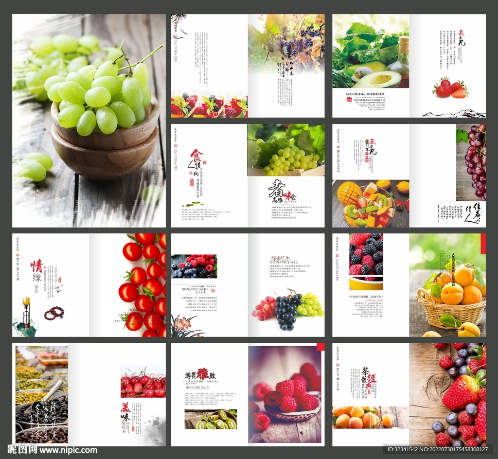 水果宣传画册
