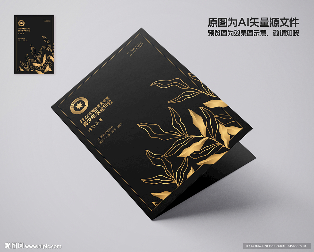 大湾区活动手册