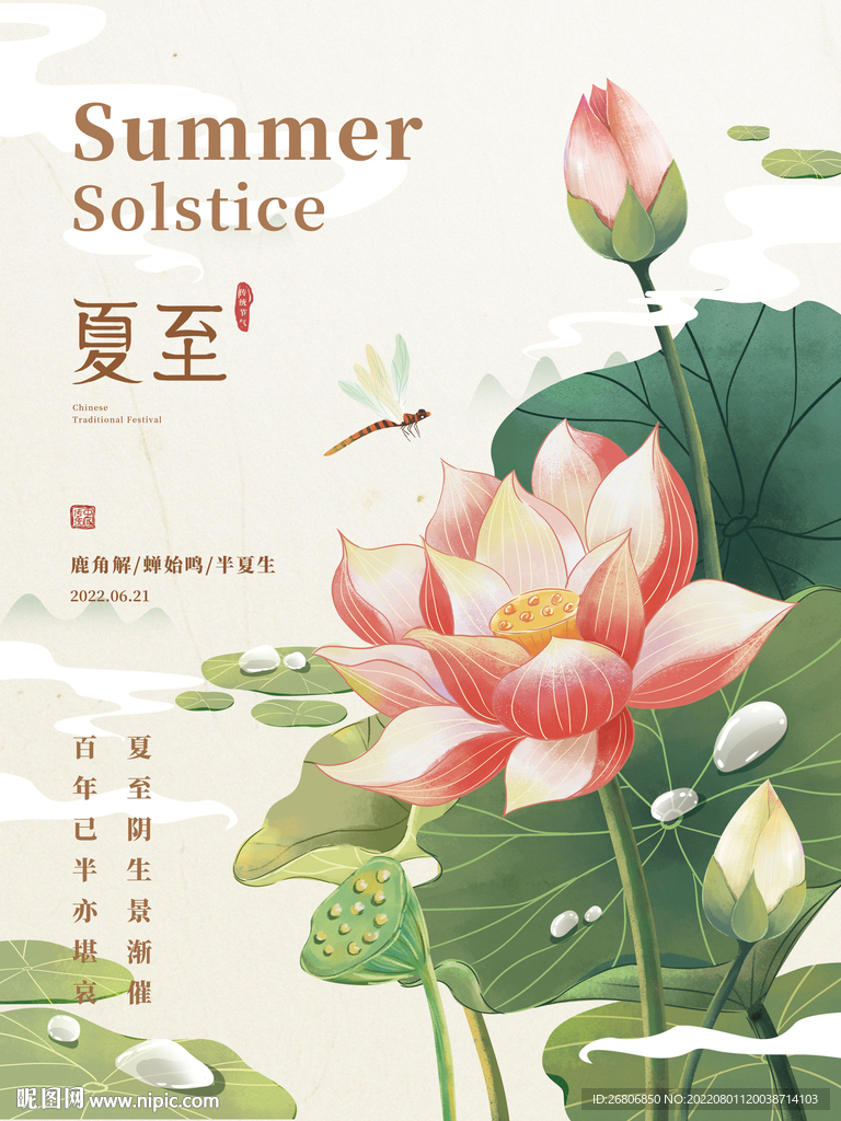 夏至荷花插画海报