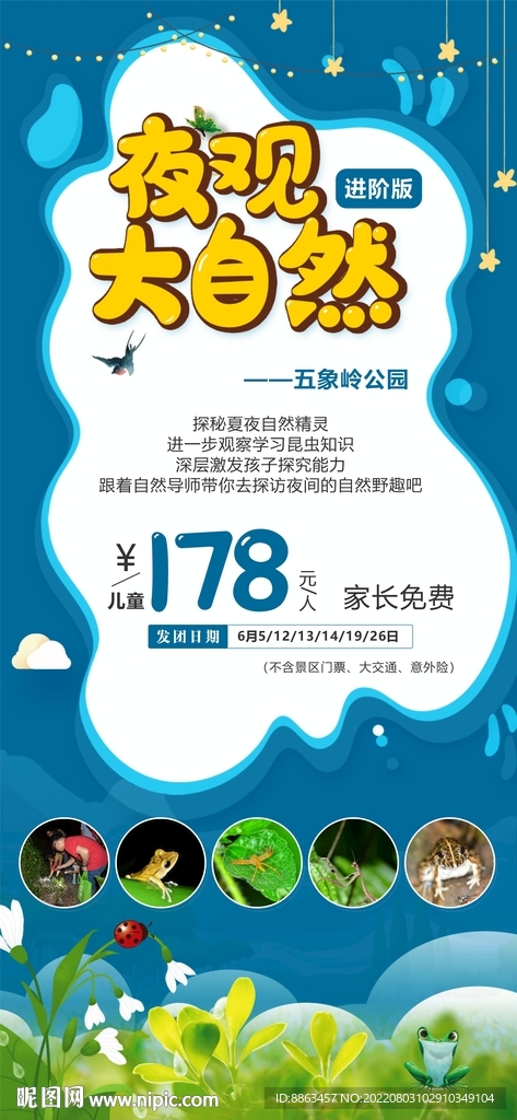 夜观大自然科普海报