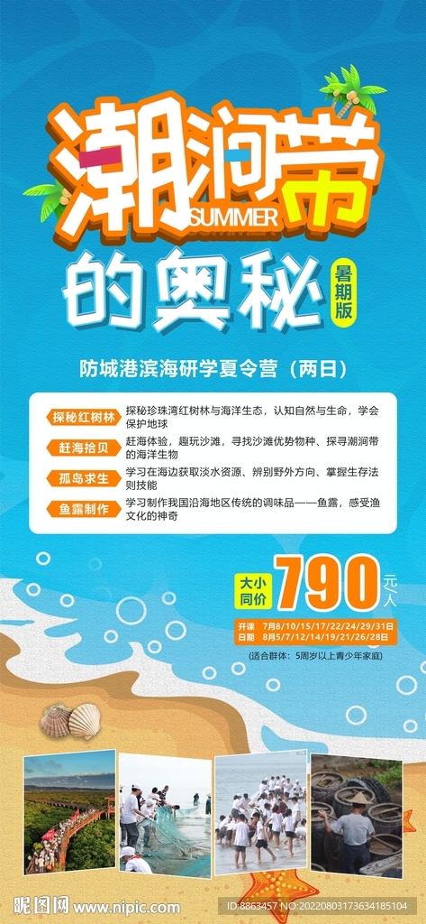 潮涧带的奥秘暑假