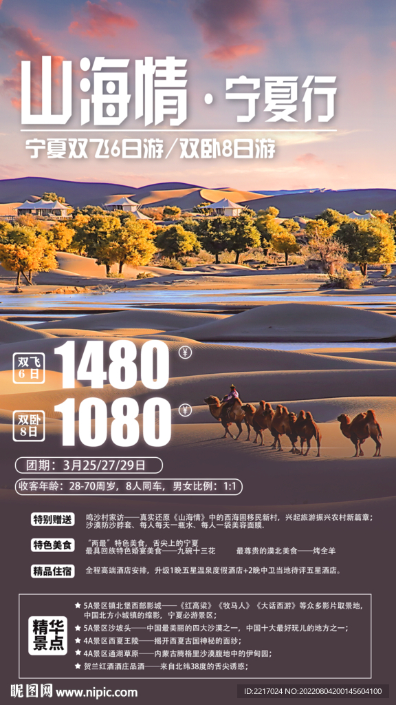 宁夏旅游海报