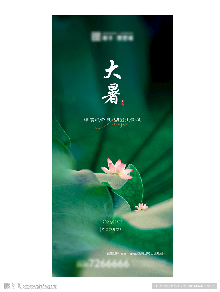 大暑节日节气单图