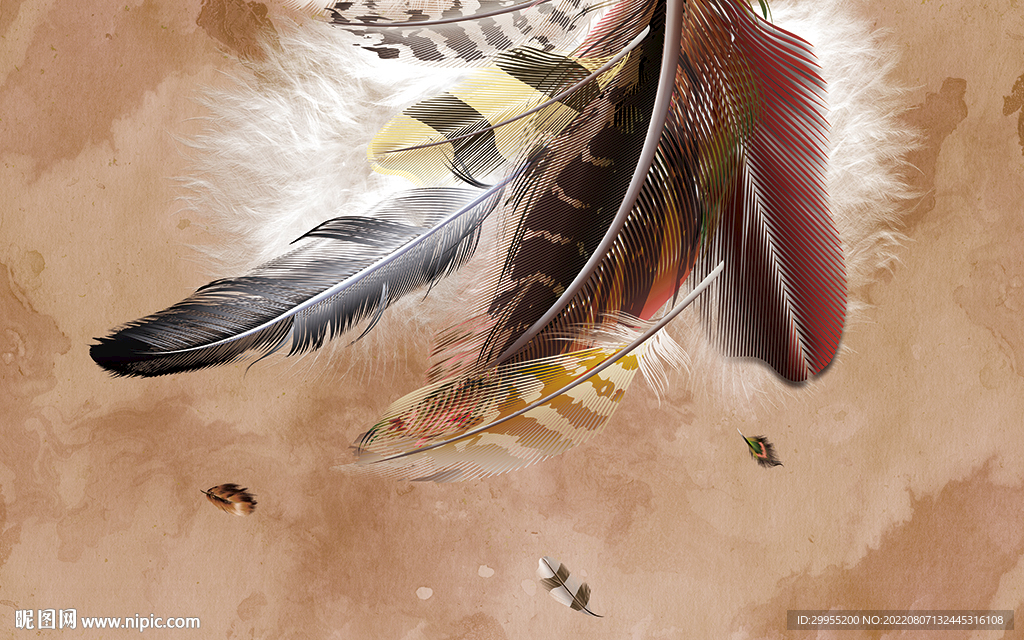 北欧羽毛背景墙