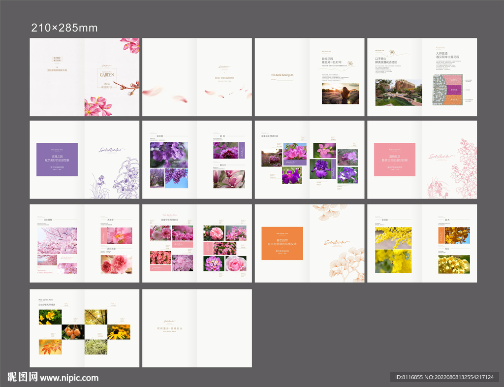 植物园花卉说明书 