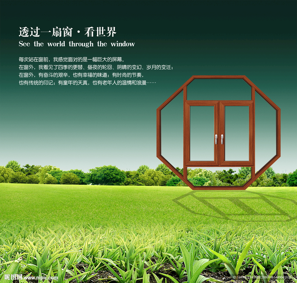 透过一扇窗看世界