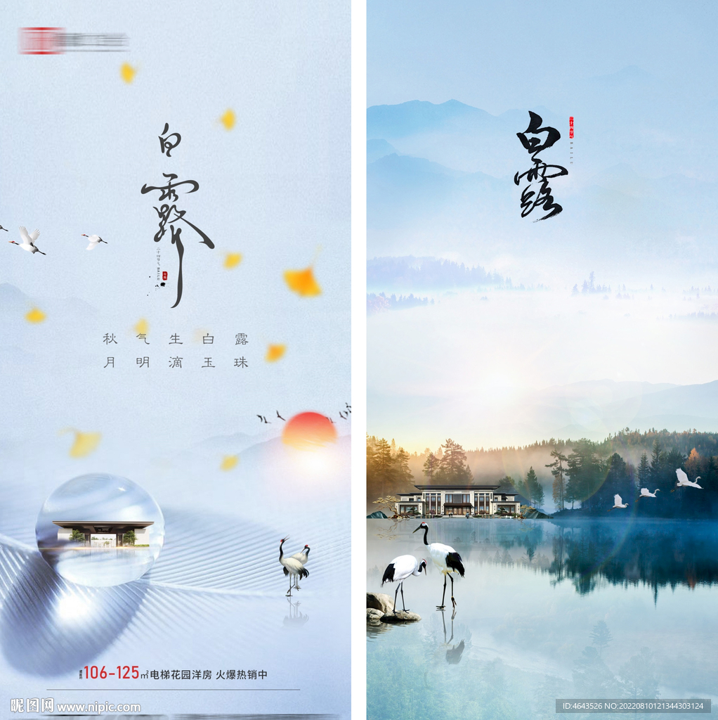 房地产白露节气海报