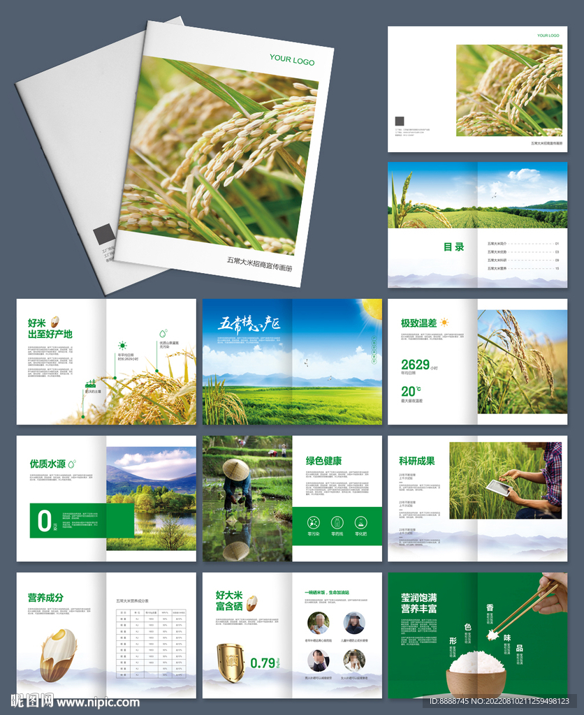 五常大米招商宣传画册