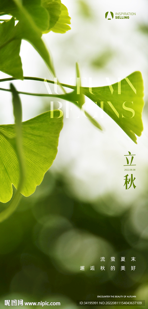 地产立秋处暑秋分微信海报