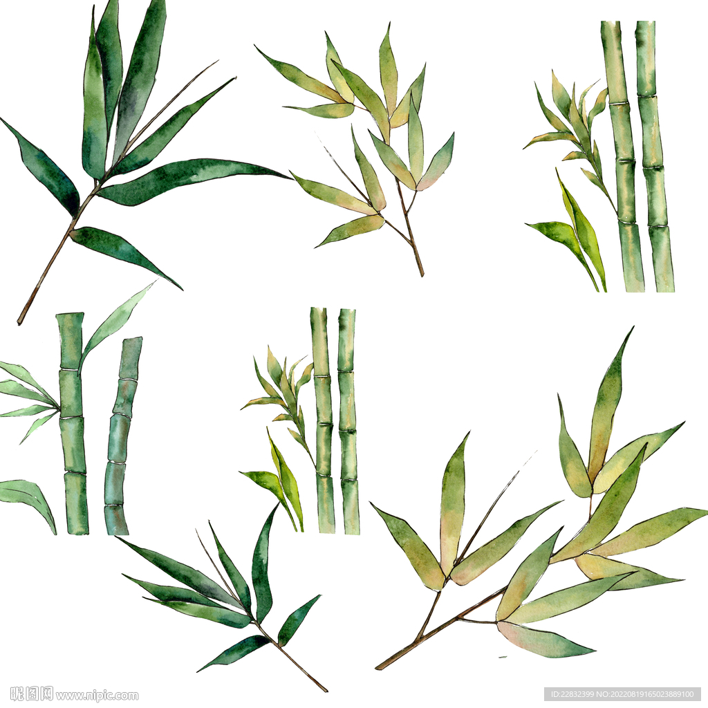 手绘水彩中国风竹子