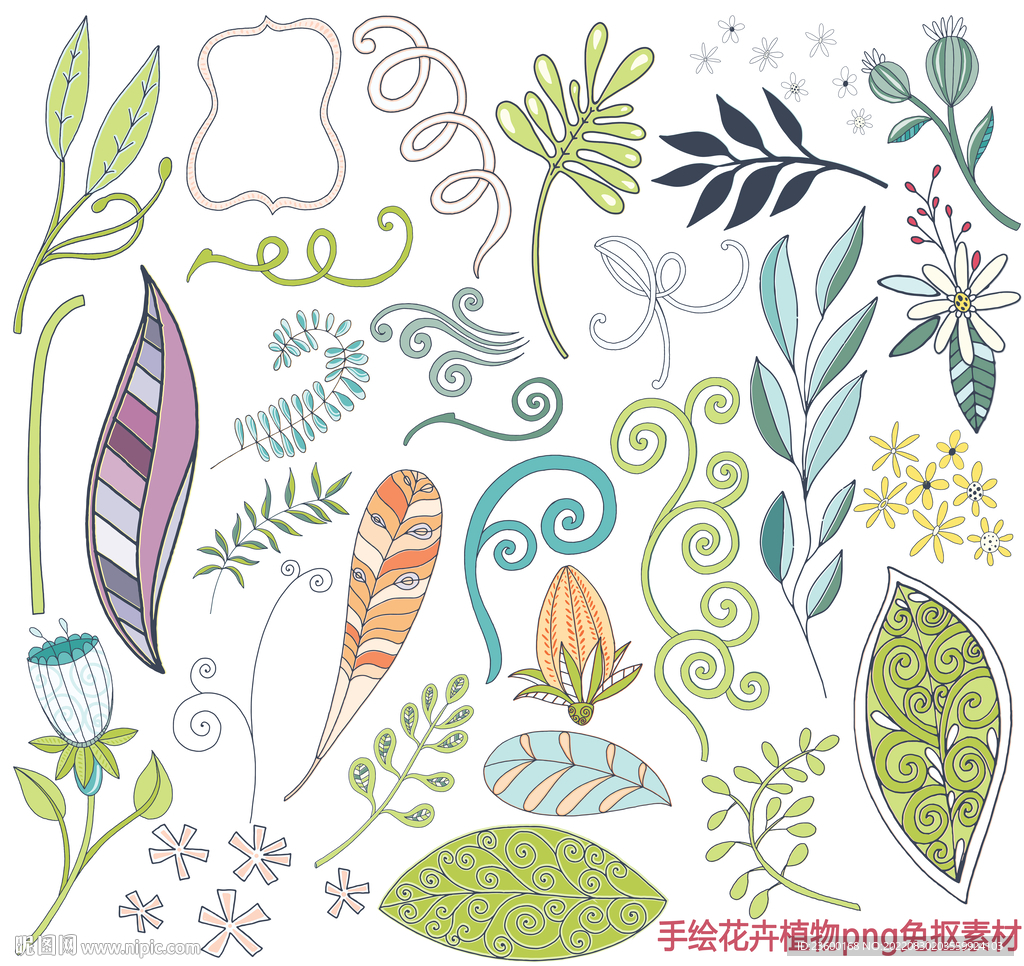 手绘花卉植物
