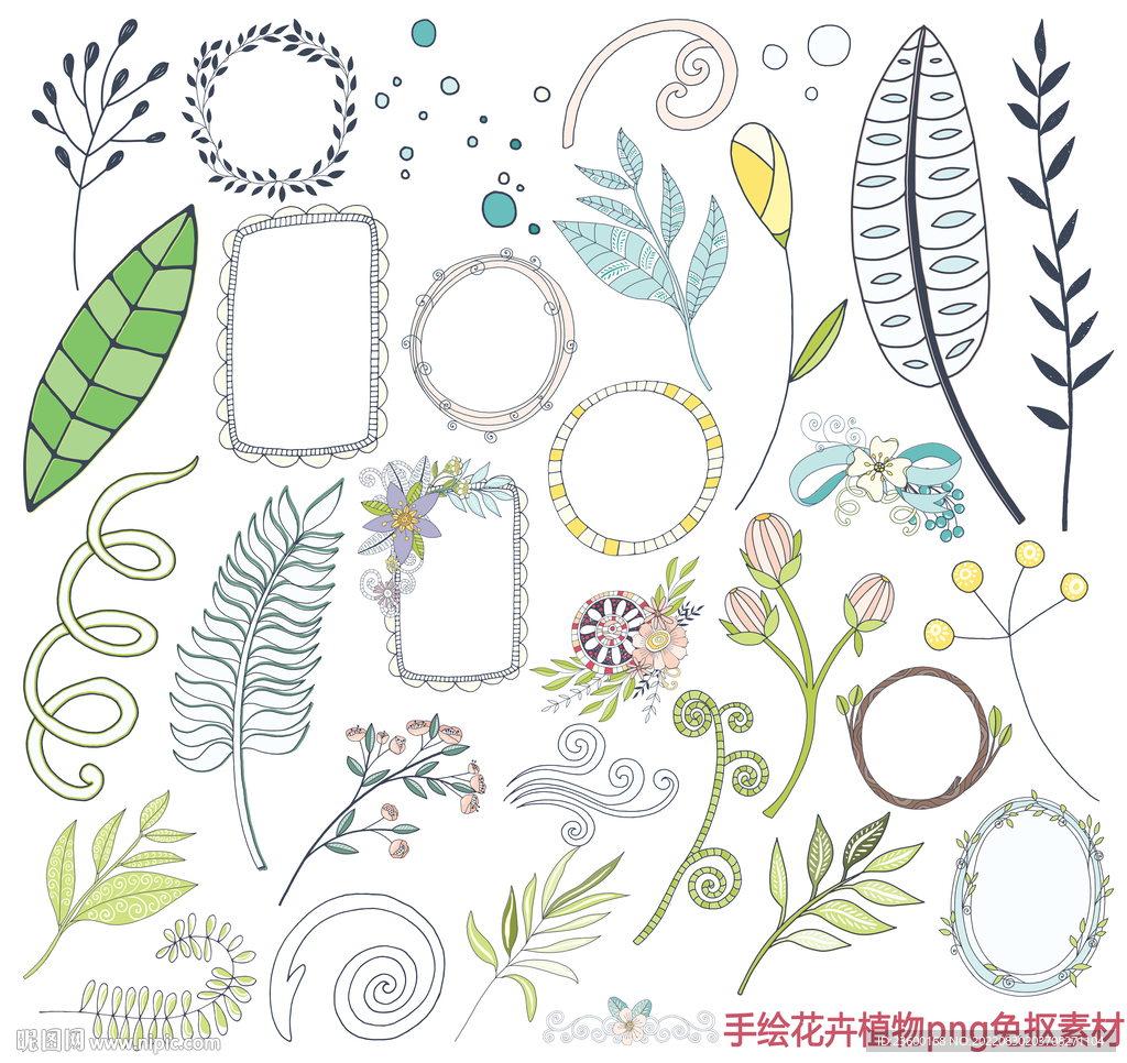 手绘花卉植物