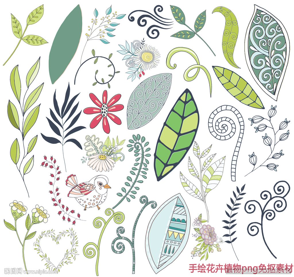 手绘花卉植物