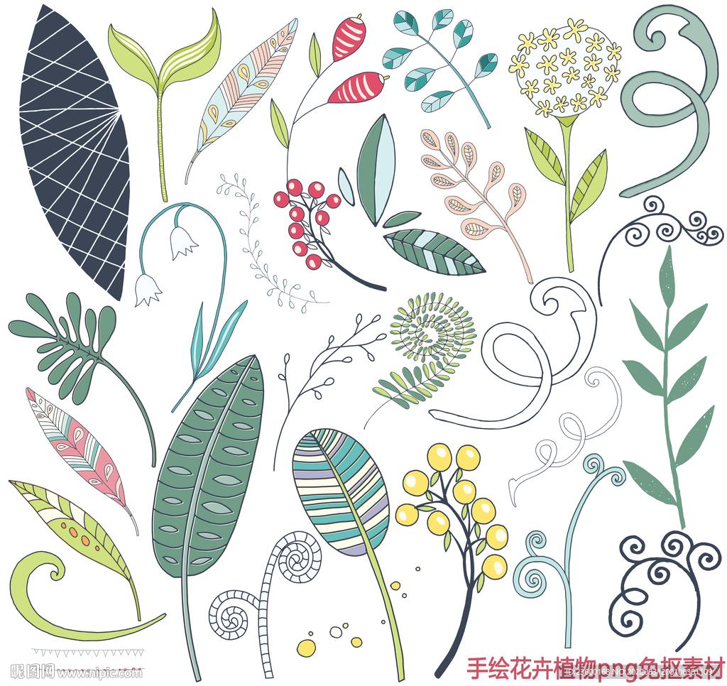 手绘花卉植物