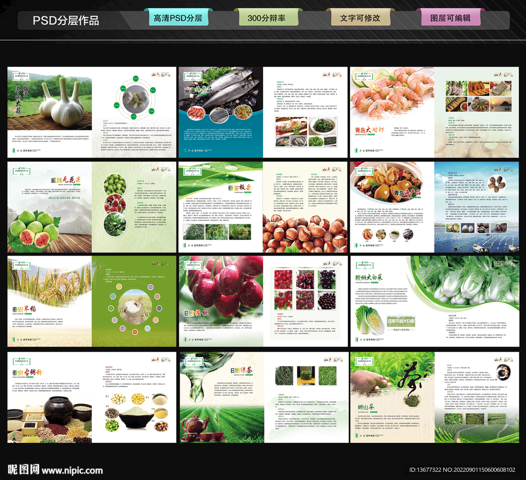 绿色大气农业农产品画册模板