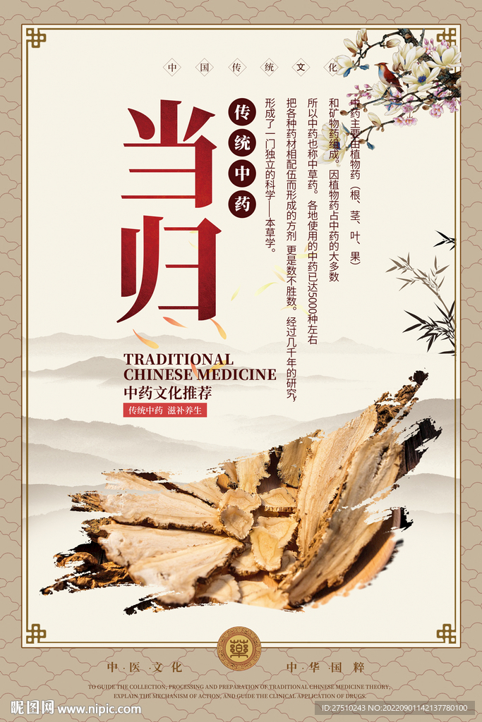 当归中药海报