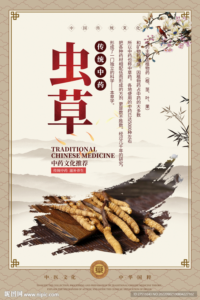 虫草中药海报
