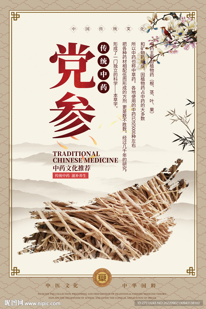 党参中药海报