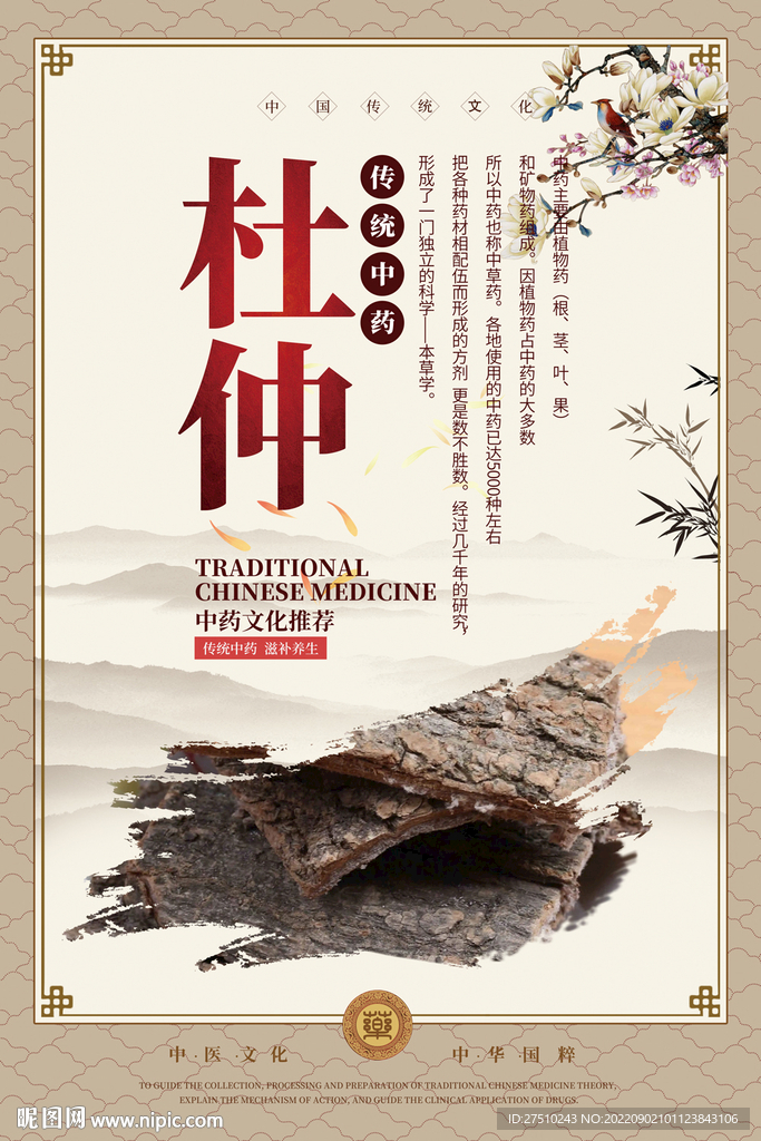 杜仲中药海报