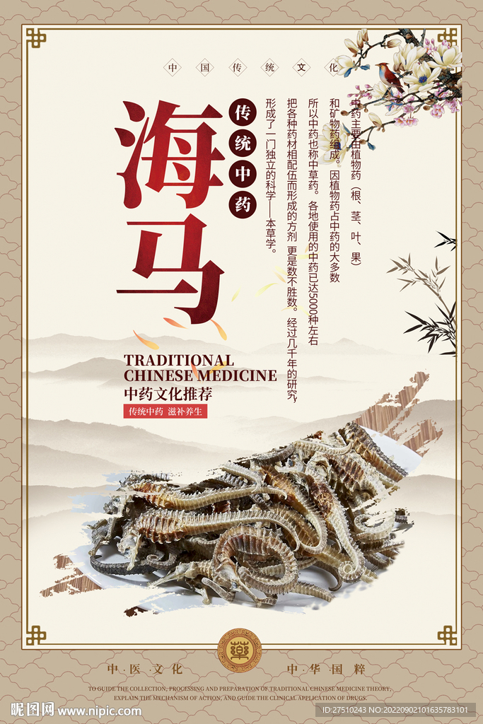 海马中药海报