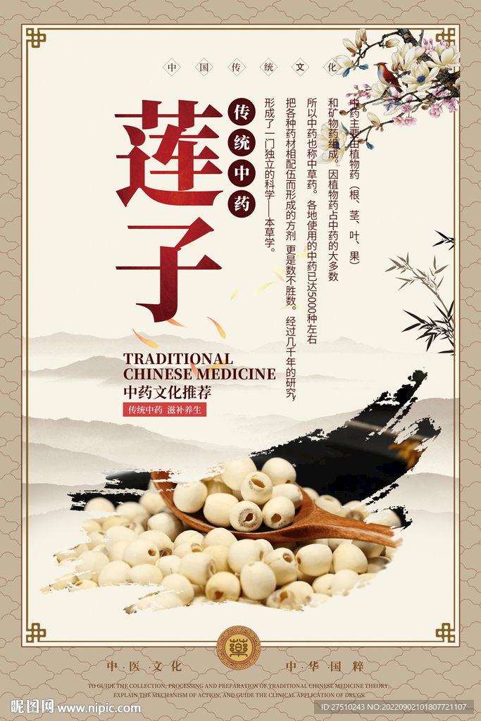 莲子中药海报
