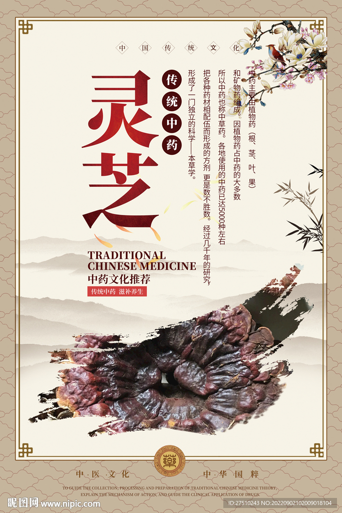 灵芝中药海报