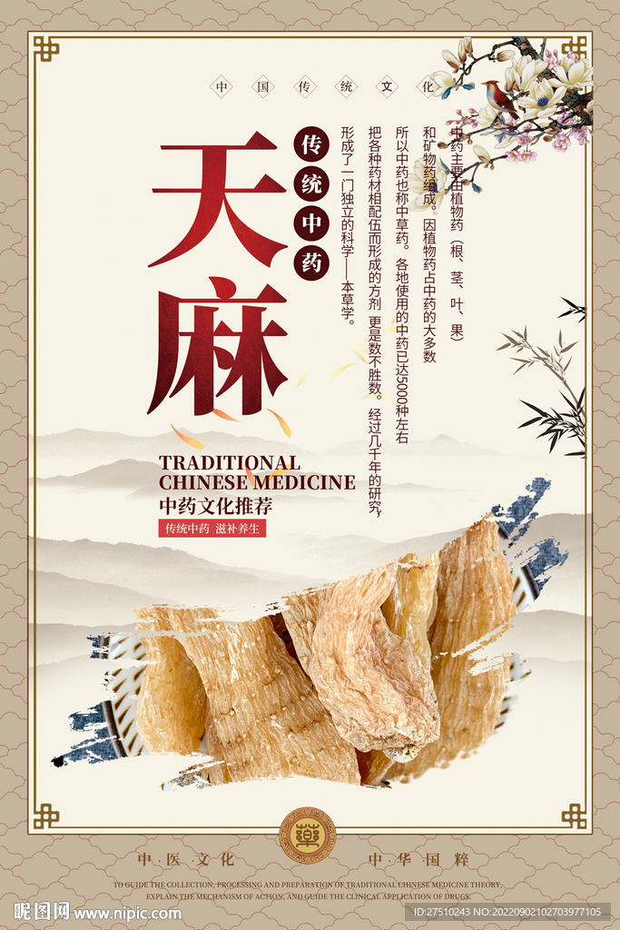 天麻中药海报