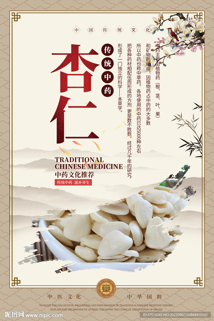 杏仁中药海报