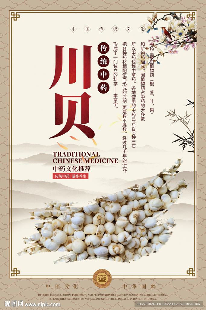 川贝中药海报
