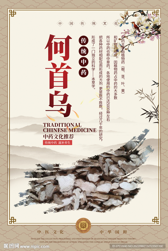 何首乌中药海报