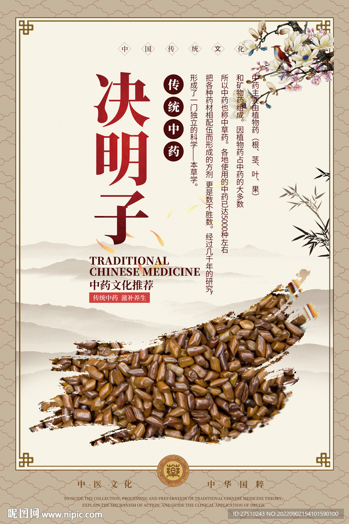 决明子中药海报