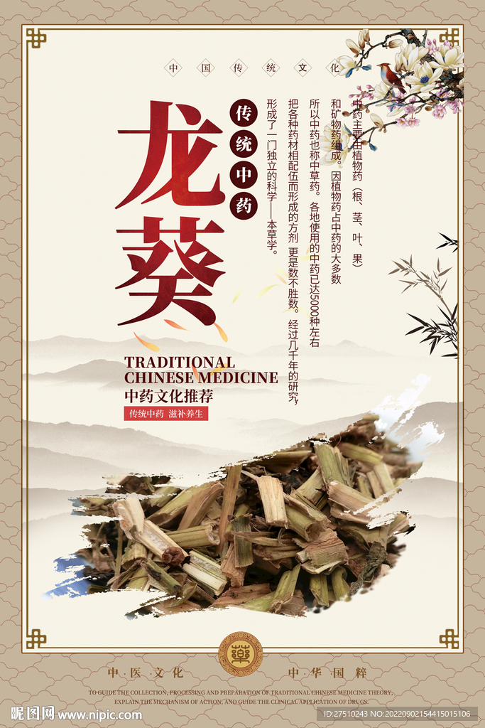 龙葵中药海报