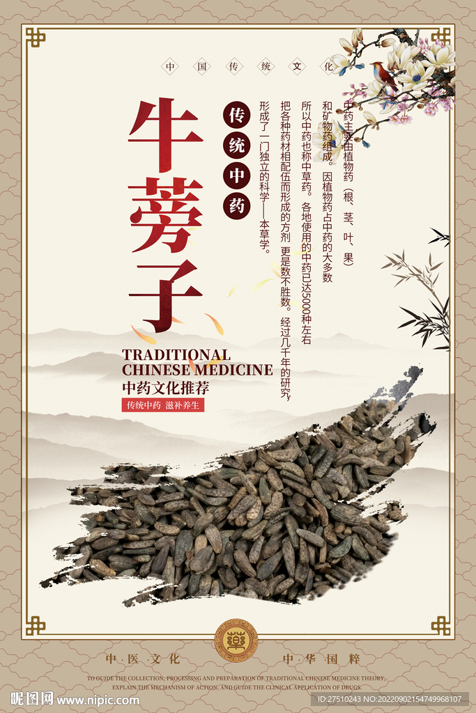 牛蒡子中药海报