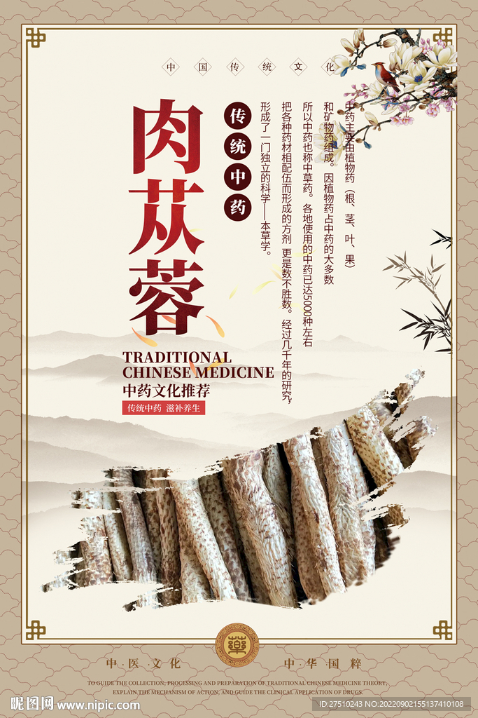 肉苁蓉中药海报